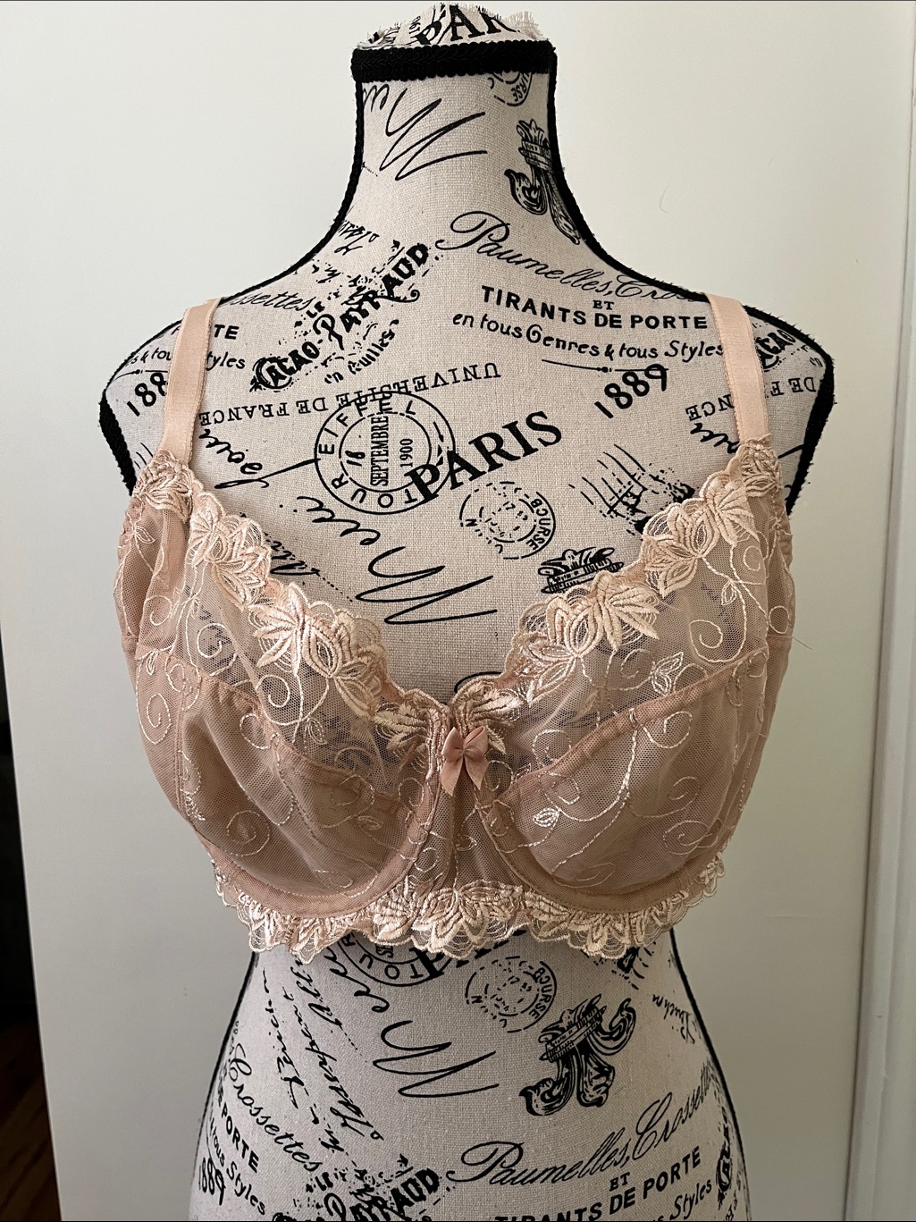 Sheer Lace Underwire Bra In Blush - Elegant Women’s Intimates
